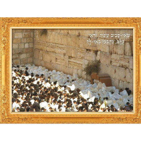 Laminated Poster 20" x 28"- Birchat Kohanim