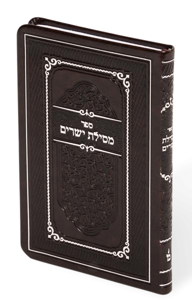 מסילת ישרים חצי קשה 16ס"מ - מאירות S/C