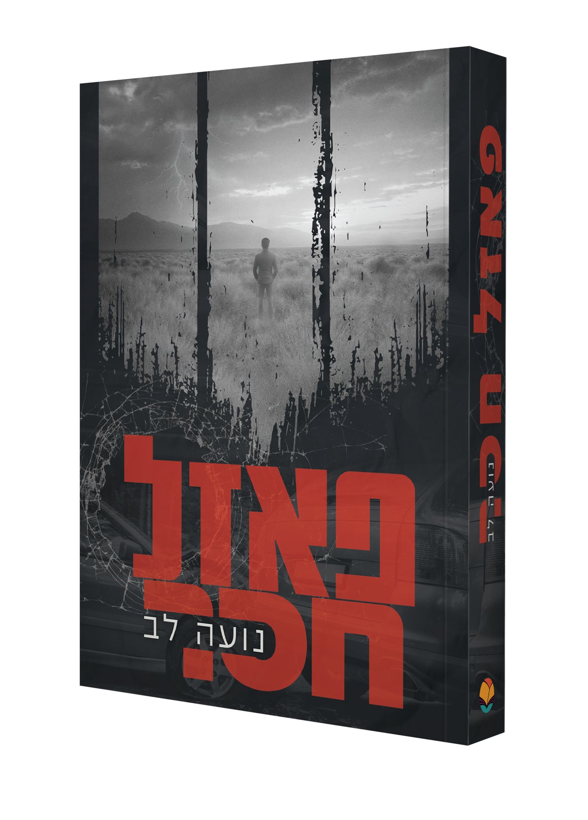 פאזל חסר / נועה לב