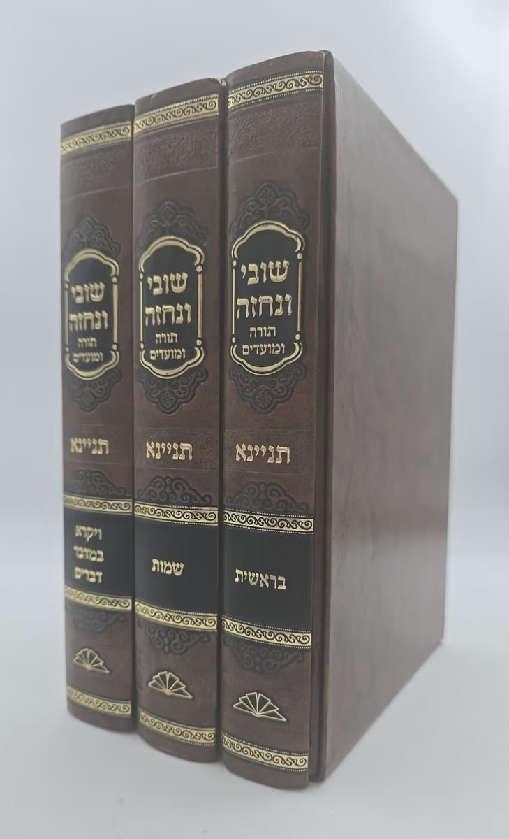 שובי ונחזה - על התורה ומועדים ג"כ - תניינא
