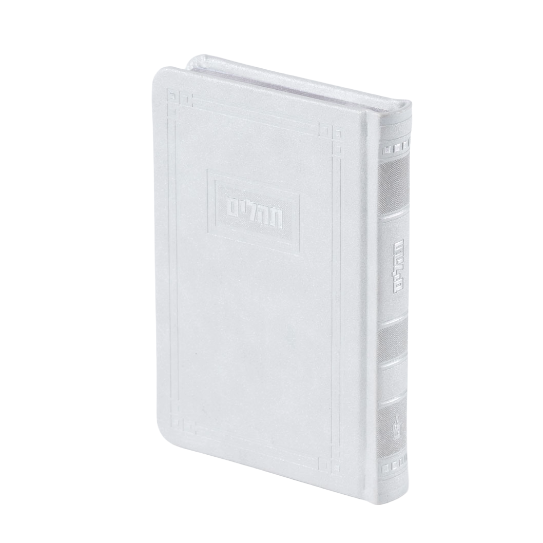 Tehilim Medium 5X7 Silver hard cover