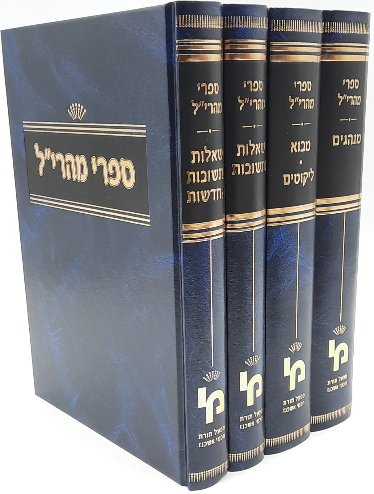 מהרי"ל - שו"ת, שו"ת החדשות ומנהגים ד"כ סט