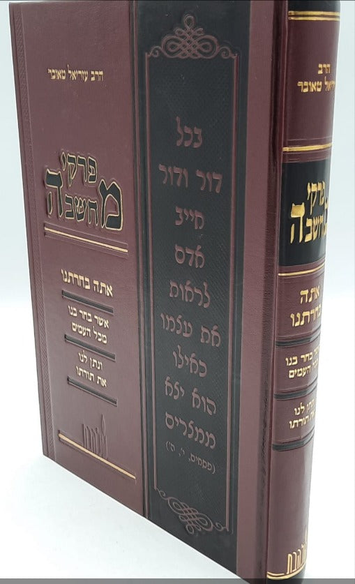 פרקי מחשבה - אתה בחרתנו
