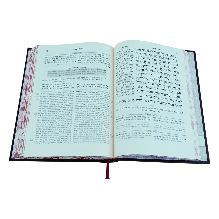 נביאים וכתובים מקרא מפורש יחזקאל ב (כט-מח)