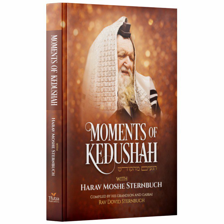 Moments of Kedushah - Harav Moshe Sternbuch