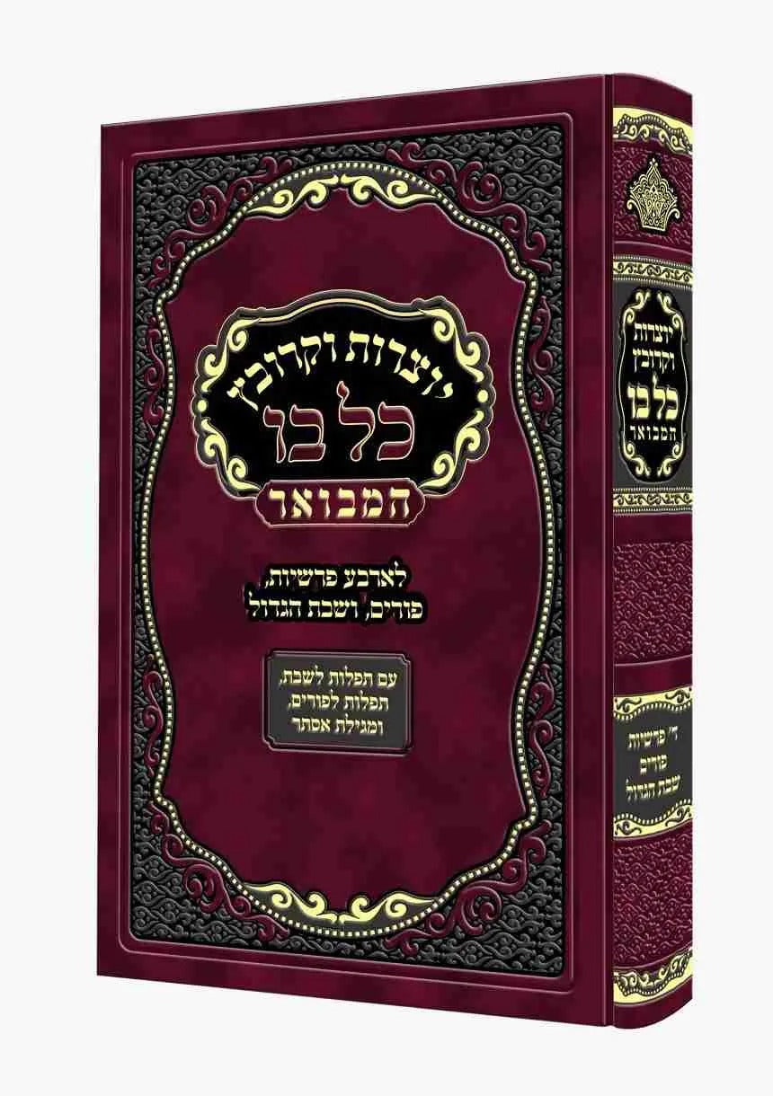 יוצרות כל בו - גדול - מאירות