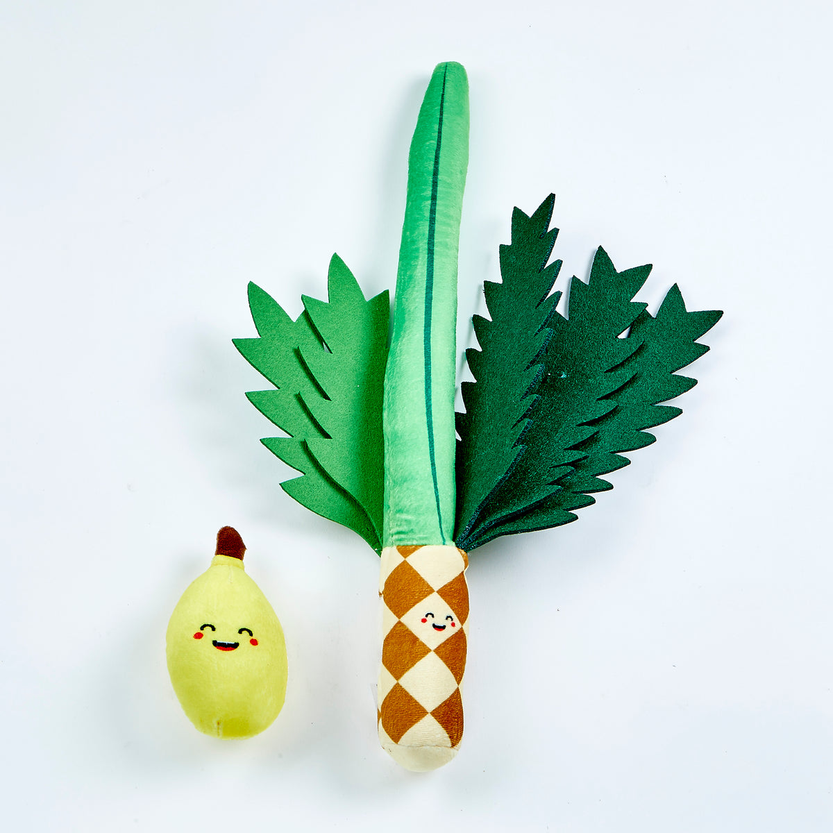 My Soft Lulav & Etrog Set in Convenient Storage Bag