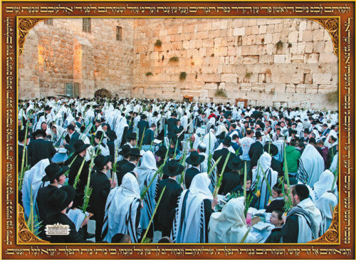Laminated Poster Netilas Lulav by the Kotel
