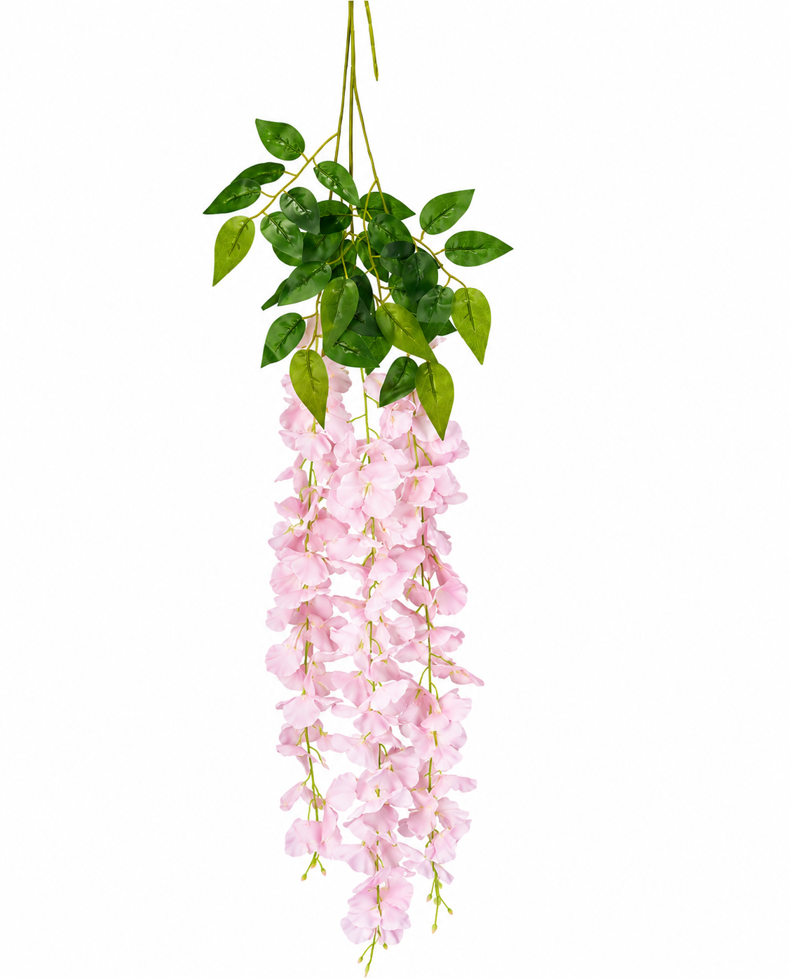 Noy Sukkah, Pink Hydrangea Flowers