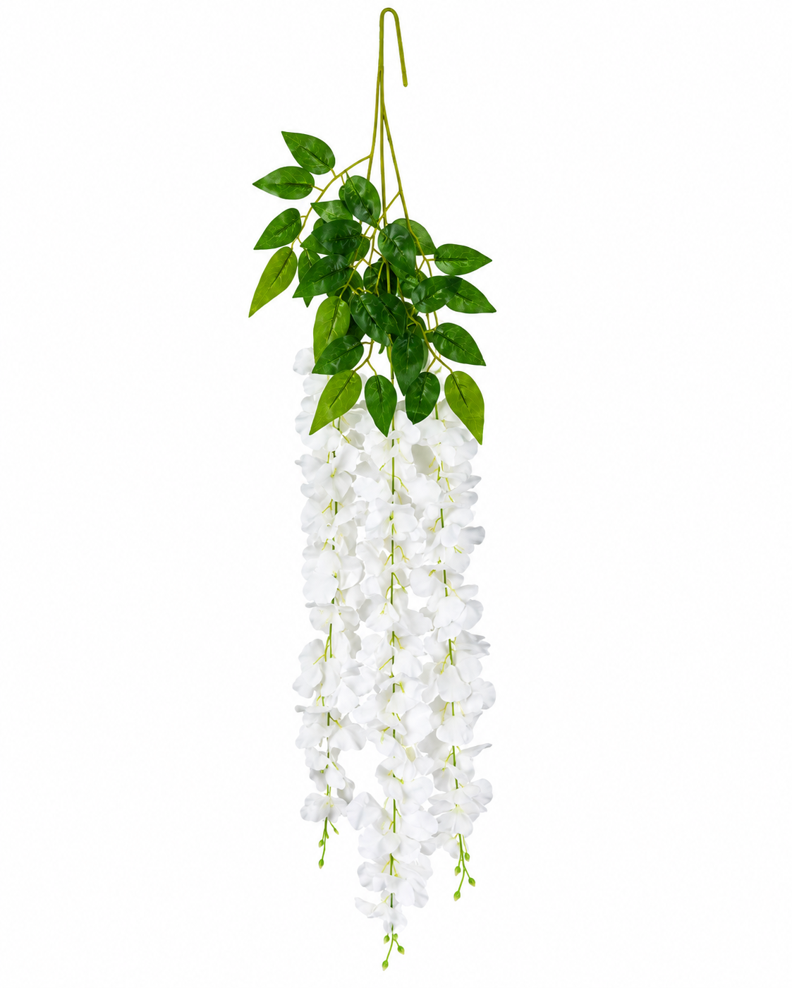 Noy Sukkah, White Hydrangea Flowers