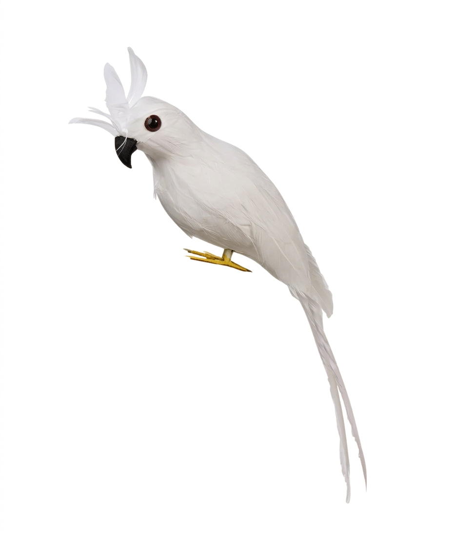Noy Sukkah, Hanging Bird- White