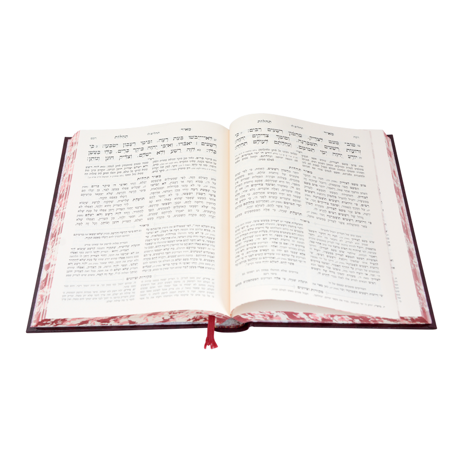 מאיר תהלות המבואר תהלים ב"כ - עוז והדר