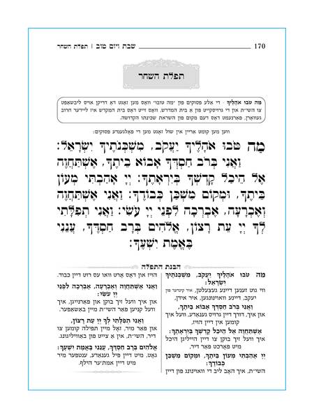 סידור להבנה לחול / לשבת - באידיש - ב' כרכים | כפתור ופרח PU PINK