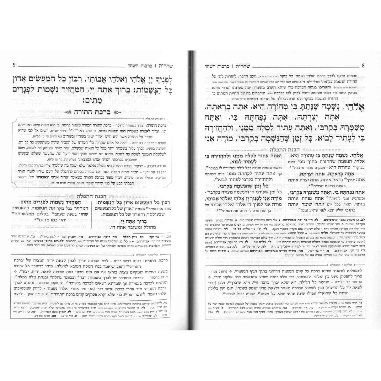 סדור בהבנה - לימות החול - כפתור ופרח