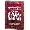 Call of The Torah 4 - Bamidbar H/b