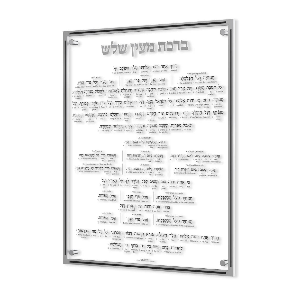 Artscroll Schottenstein Interlinear - Large- Silver