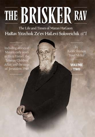 Brisker Rav Vol 2