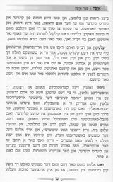 איכה - וואו ביסטו? - הרב אלחנן יוסף הערצמאן זצ"ל - אידיש