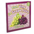 From Vine to Grape Juice