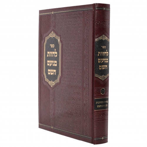 לחזות בנועם השם - חלק ג - ענינים והדרכות בעבודת השם