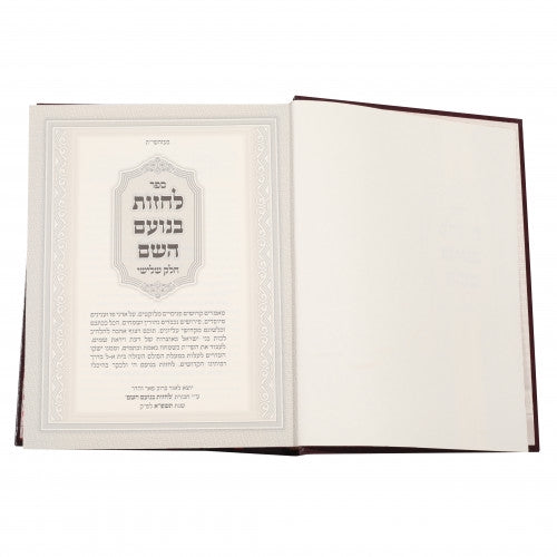 לחזות בנועם השם - חלק ג - ענינים והדרכות בעבודת השם