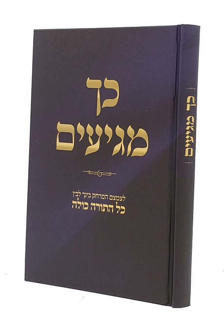 כך מגיעים - לצמצם המרחק בינך לבין כל התורה כולה