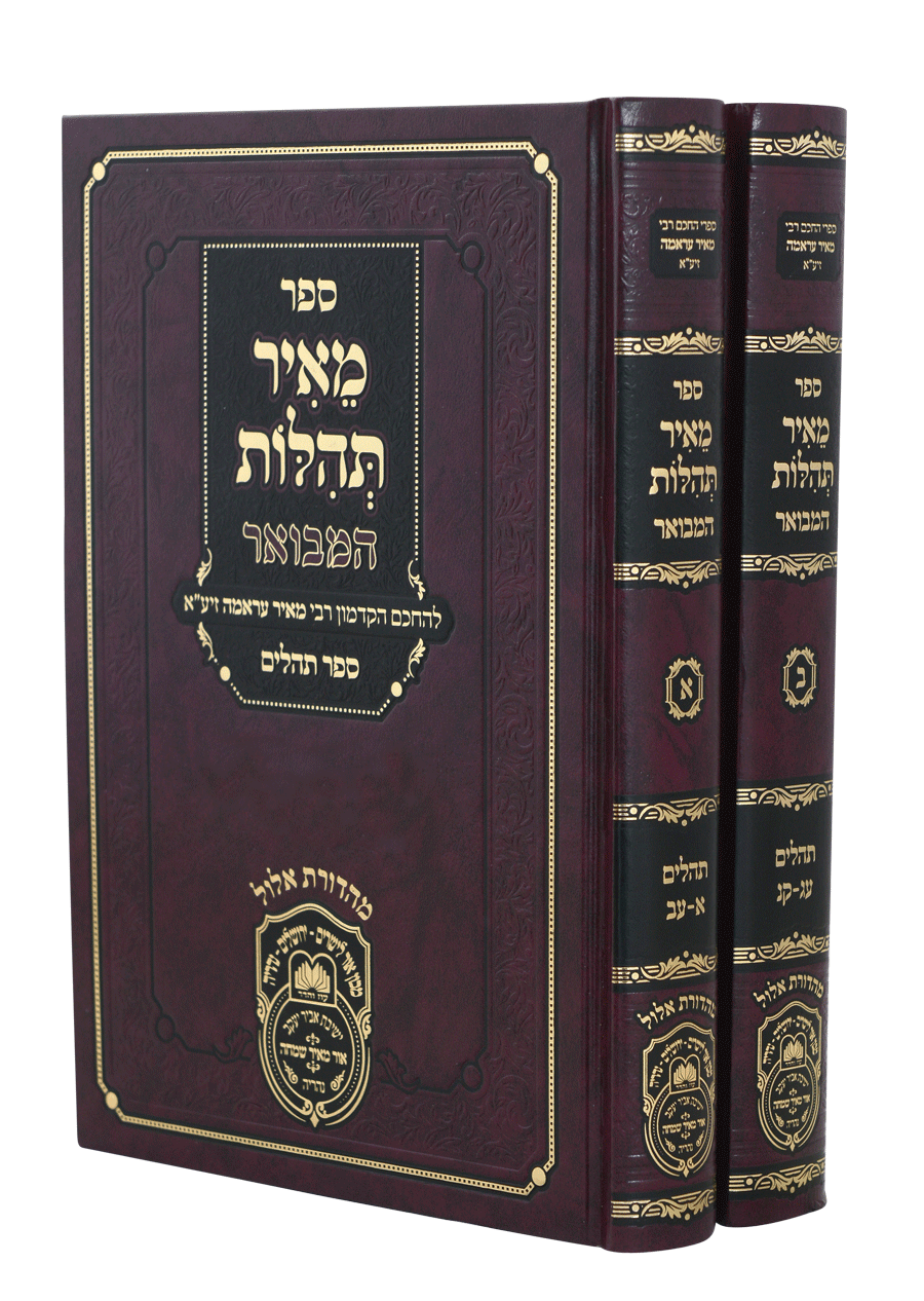 מאיר תהלות המבואר תהלים ב"כ - עוז והדר