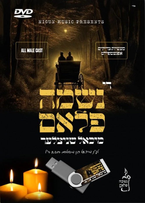 די נשמה פלאם - מיכאל שניצלער / Di Neshuma Flam Video - USB