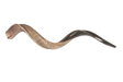 SH01K_126523_.png