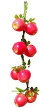 NS02M_127083_.jpg