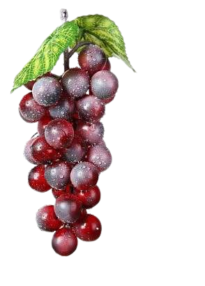 ns09m_127128_.png