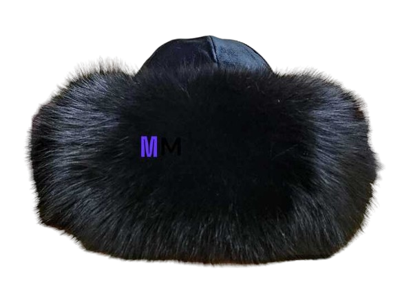 H02S_128666_.png