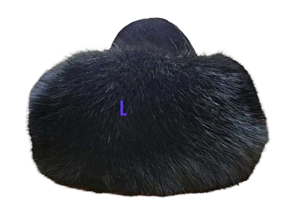 H03SL_128667_.png