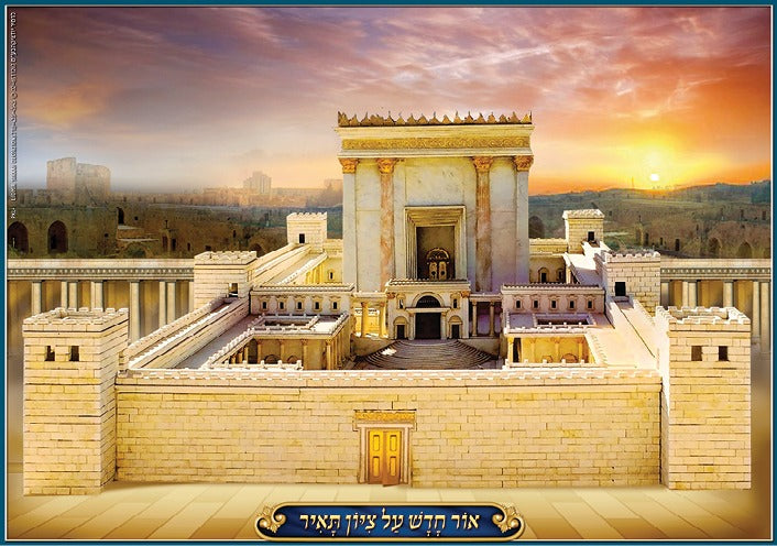 Laminated Poster 20" x 28"- Bais Hamikdash
