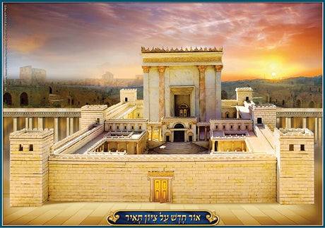 Laminated Poster 20" x 28"- Bais Hamikdash