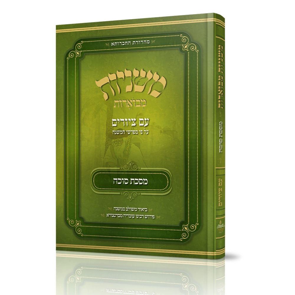 משניות מבוארות מצוירות - סוכה - אבוקה