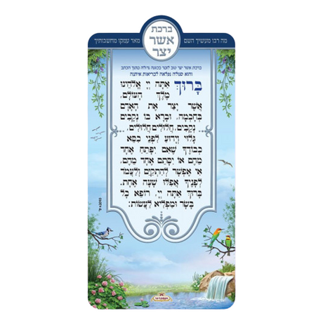 אשר יצר מגנט חדש - וקסברגר