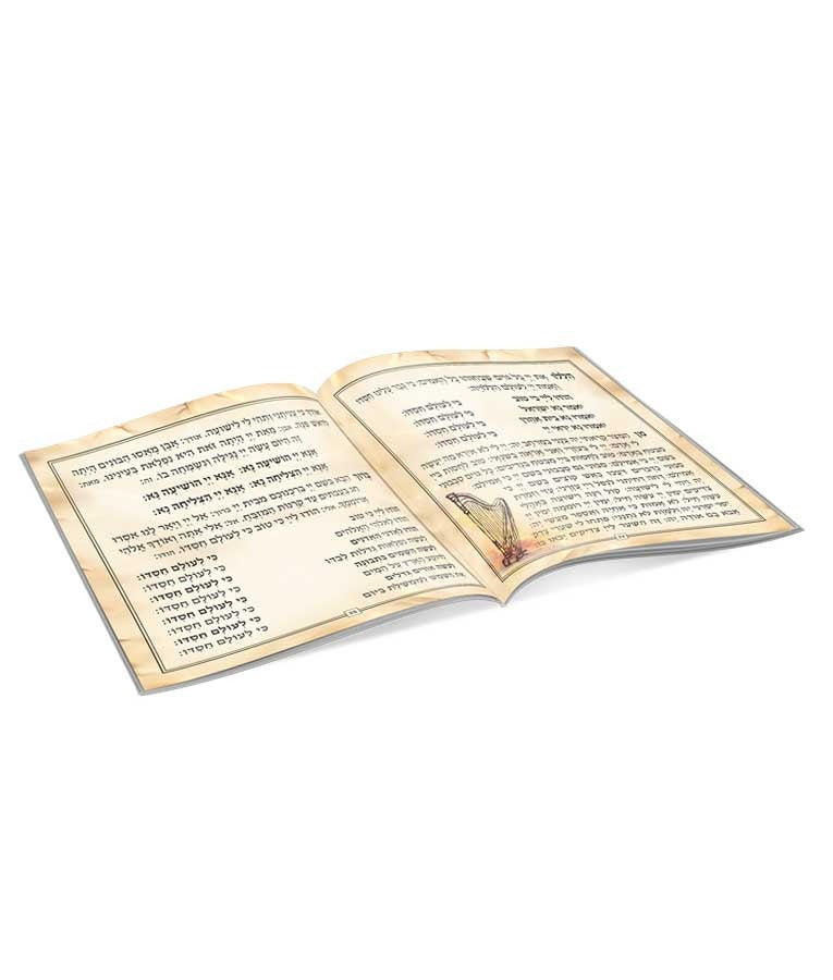 הגדה של פסח מאויירת - שמחונים S/C