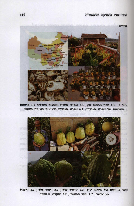 154972_37872_.jpg