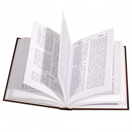 שארית ישראל על התורה - ווילעדניק