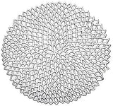 TC01_46107_.jpg