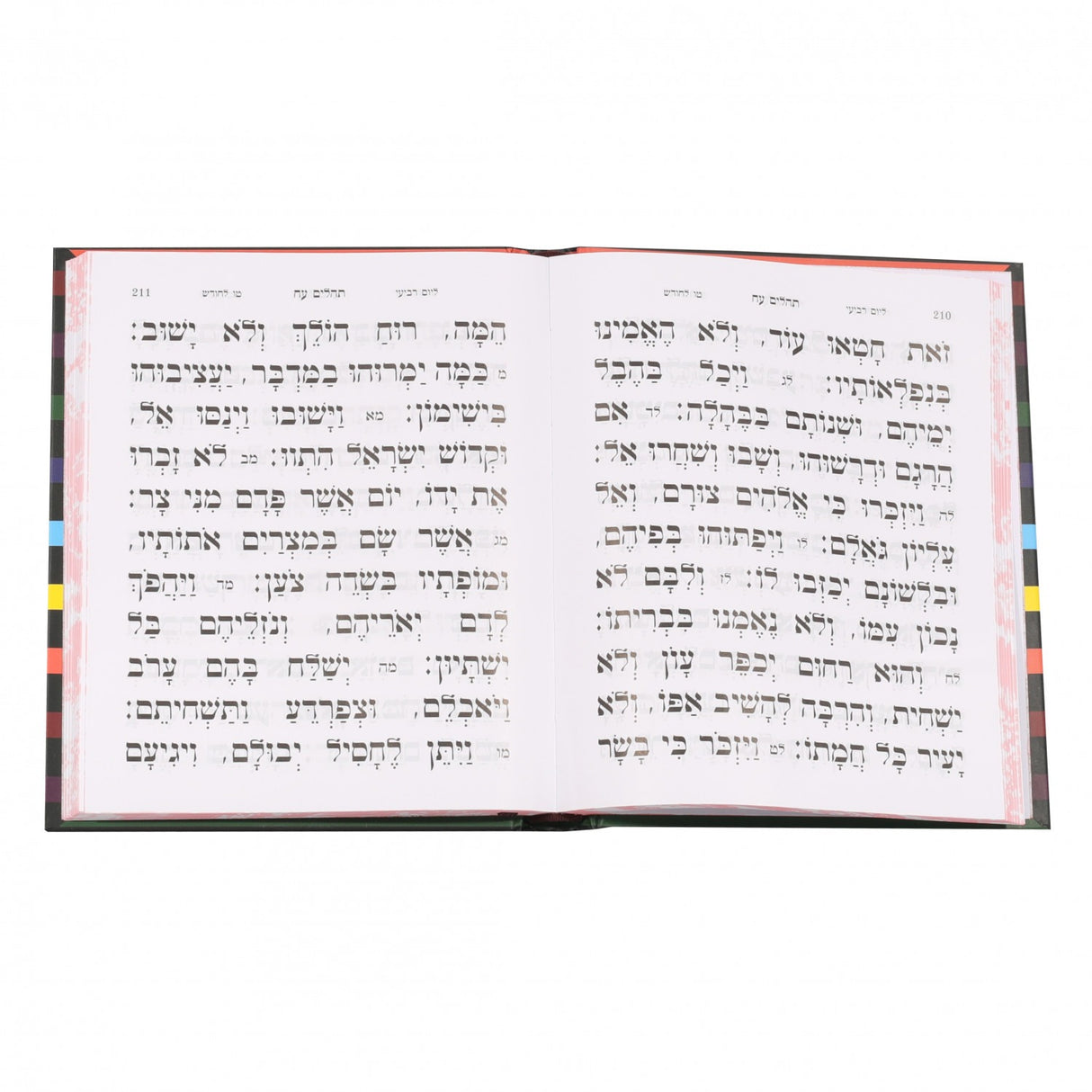 K56PSLM_117242_.jpg