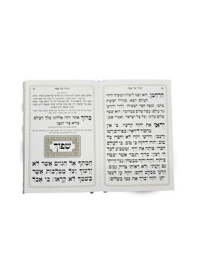הגדה של פסח באותיות גדולות - כפתור ופרח PU SILVER