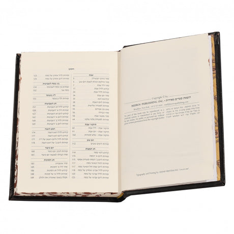 LZ01-BZ_126115_.jpg