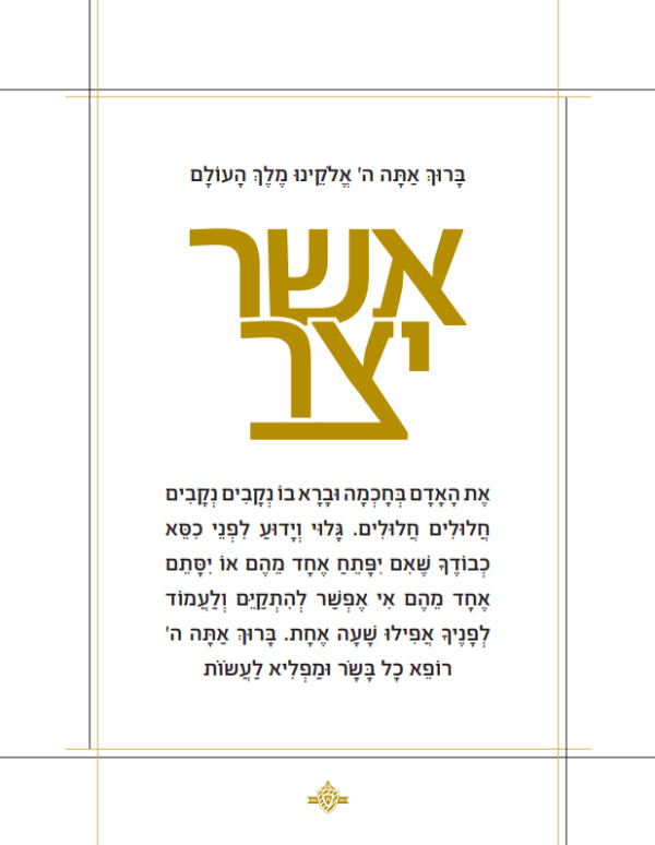 אשר יצר - כיס Laminated Modern Pocket Size