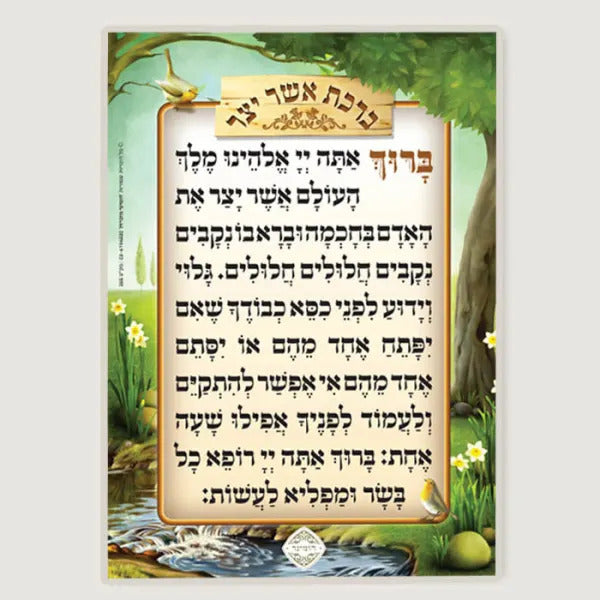 אשר יצר - הומינר - Pocket Size Laminated
