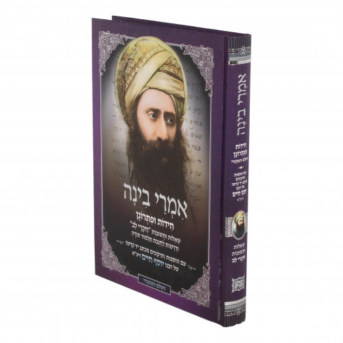 אמרי בינה - חידות ופתרונם