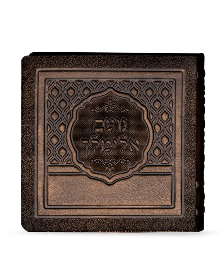 נועם אלימלך 8 ס"מ - צילום דפוס ראשון - שמחונים leather bronze