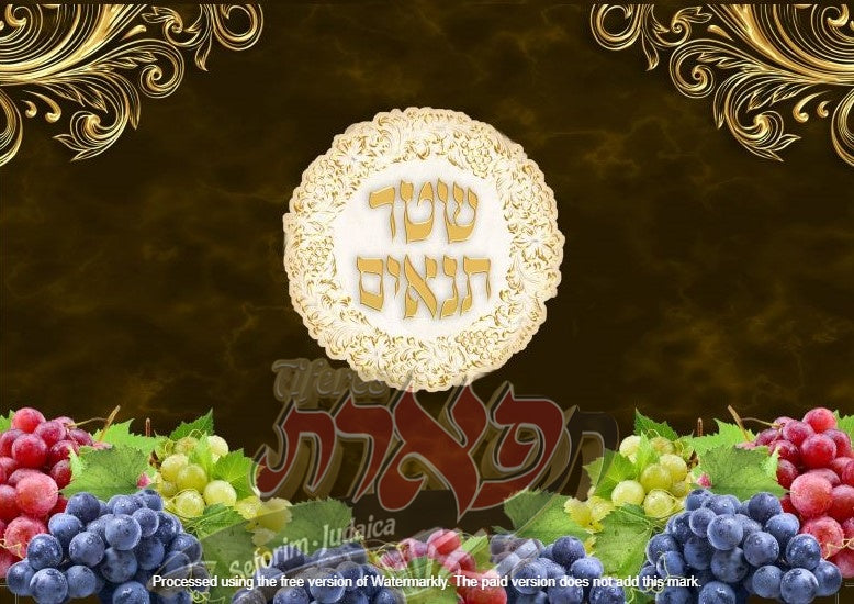 שטר תנאים - נוסח מהודר לכתחלה