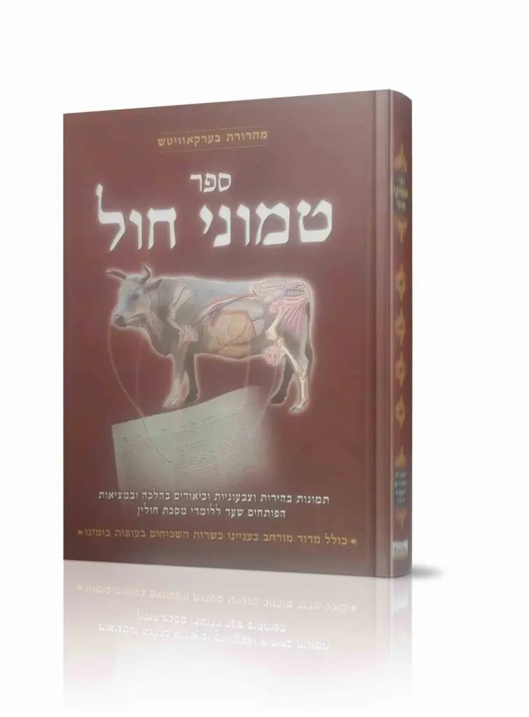 טמוני חול על מסכת חולין – תמונות צבעוניות וביאורים